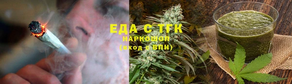 тгк Медногорск