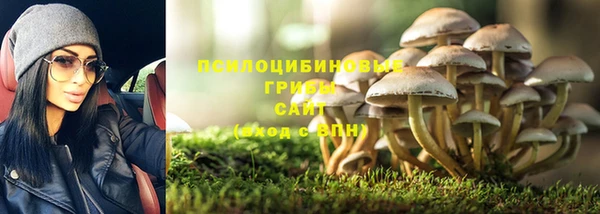 трава Мегион